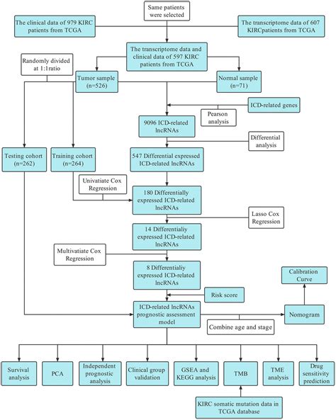 Construction And Validation Of A Model Based On Immunogenic Cell Death