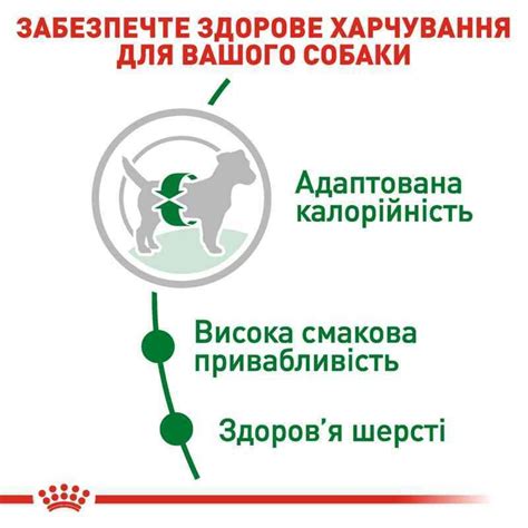 Купити Роял Канін Mini Adult - Сухий корм з м'ясом птиці для дорослих ...