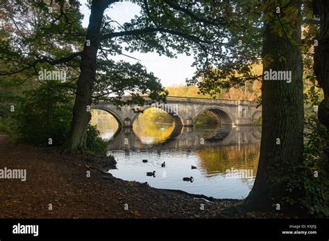 Clumber Park In Nottinghamshire Stock Photo Alamy