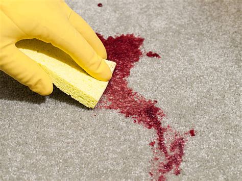 How To Clean Blood Stains From Carpet The Ultimate Guide Diy