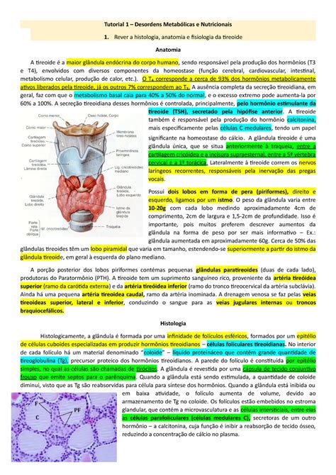 Hipertireoidismo Tutorial 1 Desordens Metabólicas E Nutricionais 1