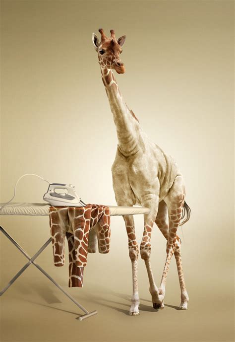 Undress a Giraffe in Photoshop