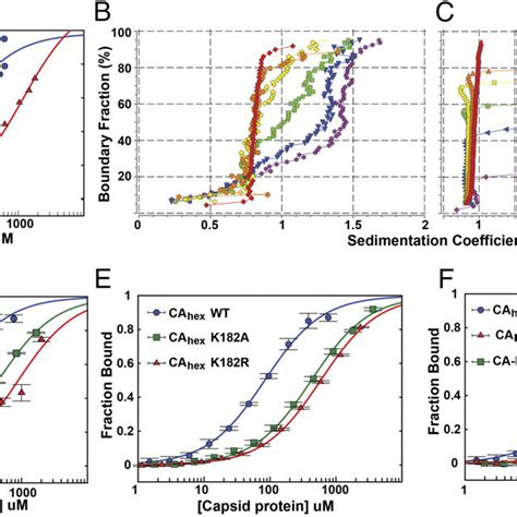 Analysis Of Cpsf6 And Nup153 Binding To Hiv 1 Ca A Binding Isotherms