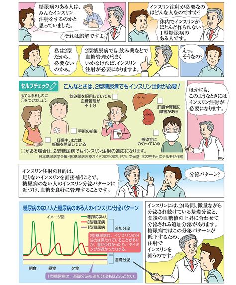 薬物療法経口薬をよく知ろう 糖尿病の治療 糖尿病について テルモ糖尿病ケアサイト