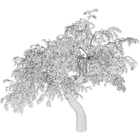 Cherry Tree #05 - 3D Model by AntonioKowatsch