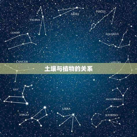 沙中土和桑拓木相克吗介绍土壤与植物的关系 星辰运势