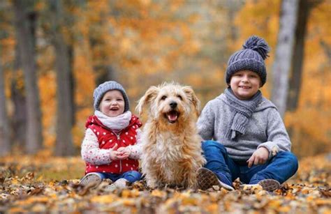 Dove I Bambini Fanno Oh Le Passeggiate Nella Natura Pi Spettacolari