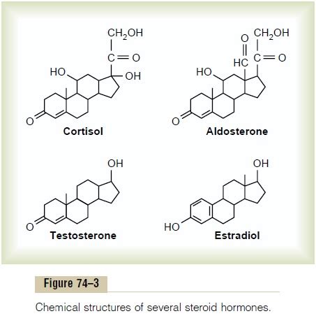 Chemical Structure and Synthesis of Hormones