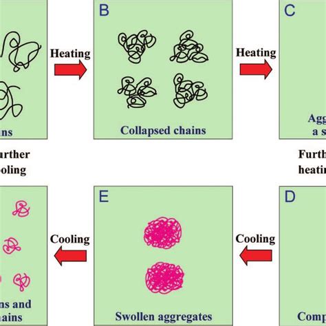 Schematic Representation Of The Phase Separation Process Of Poly Vinyl