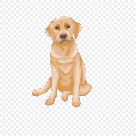 Police Dog Labrador PNG, Vector, PSD, and Clipart With Transparent ...