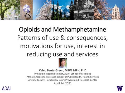 Pdf Opioids And Methamphetamine Patterns Of Use And Dokumen Tips