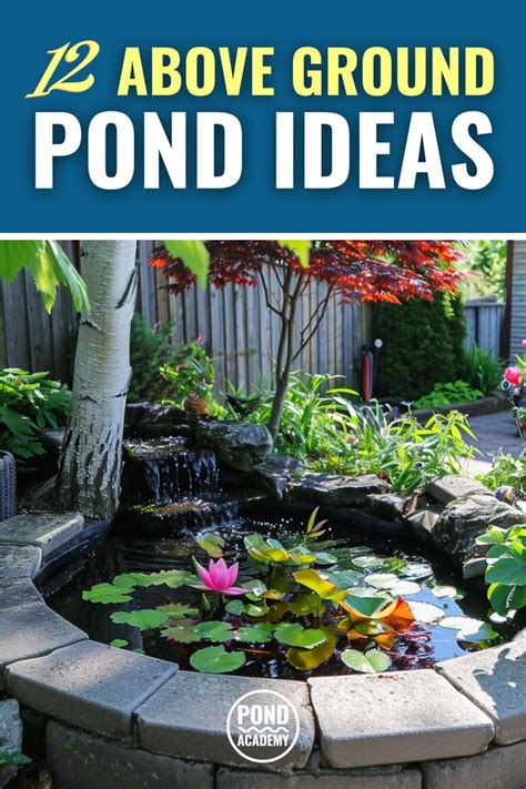 12 Above Ground Pond Ideas With Pictures Build Tips In 2024 Small