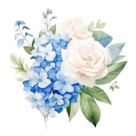 Watercolor Beautiful White Rose And Blue Plumbago Auriculata Plant