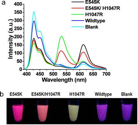 Fluorescence Spectroscopy