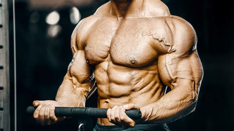 Workout Routine For Massive Arms Eoua Blog