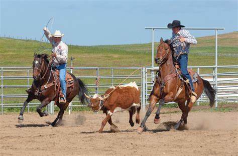 The Best Team Roping Rope: Finding the Right Rope for You