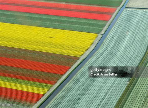 Aerial View Of Tulip Fields In The Netherlands High-Res Stock Photo - Getty Images