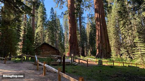 Hike Mariposa Grove Trail (Yosemite) (2020) - HikingGuy.com