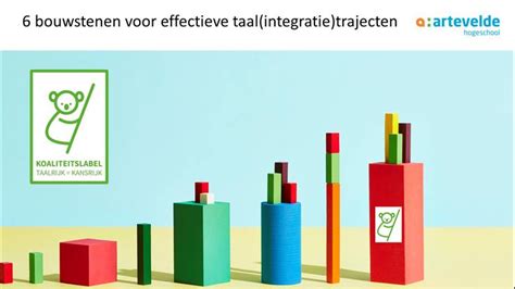 6 Bouwstenen Voor Effectieve Taaltrajecten