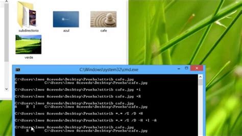 Cómo cambiar los atributos de un archivo en Windows 10