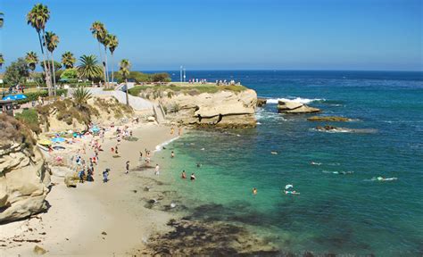 Snorkeling In La Jolla Cove, San Diego - What's It Like?