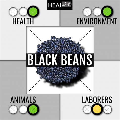 Black Bean Benefits Side Effects Vegan Low Fodmap Gluten