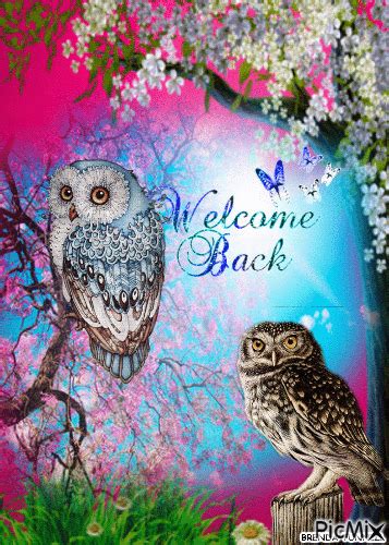 Welcome Back Animated 