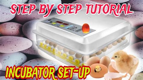 Automatic Incubator Setup Tutorial Step By Step Nabili Ko Sa Shoppee Tagalog Tutorial Youtube