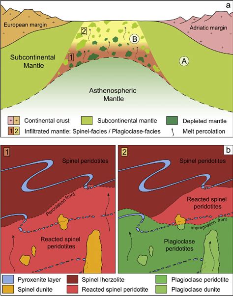 A Simplified Schematic Description Of Different Mantle Domains In The Download Scientific