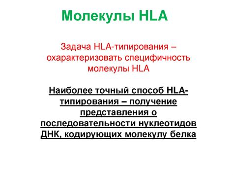 Обзор методов Hla типирования презентация онлайн