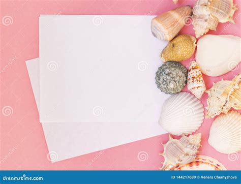 Hoja De Papel Blanca Vac A Para El Texto En Un Fondo Rosado Fondo Con