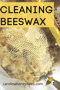 Best Wild Honey Ideas Bee Keeping Bee Bee Hive