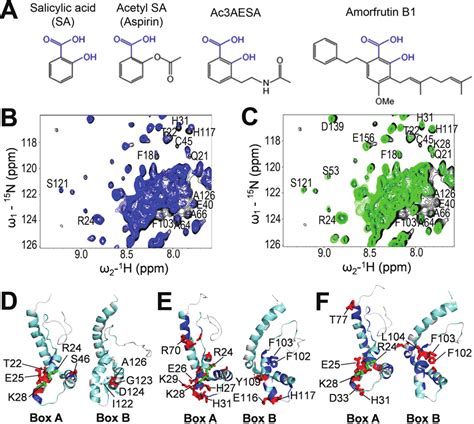 Ac3AESA And Amorfrutin B1 Bind In The SA Binding Sites Of HMGB1 A