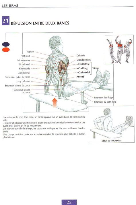 Gym tips, Workout chart, Arm workout