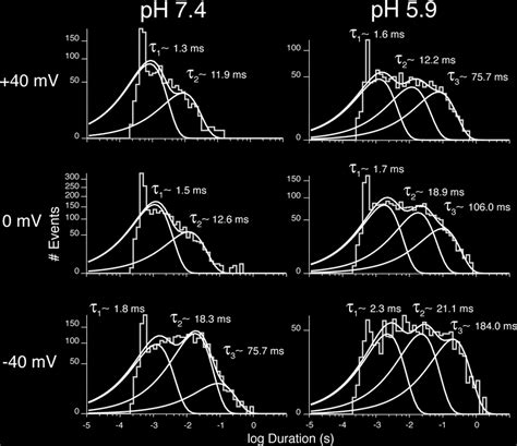 Modulation Of Single Kcnq23 Channel Closedstate Kinetics By