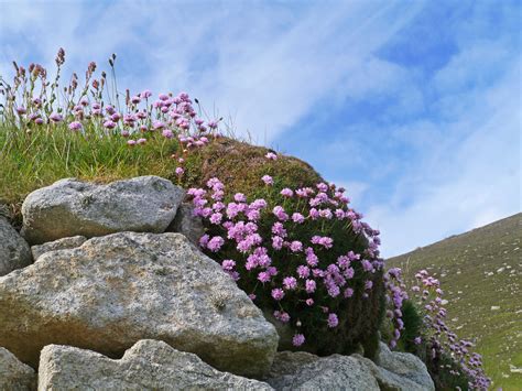 St Kilda Map - Outer Hebrides, Scotland - Mapcarta