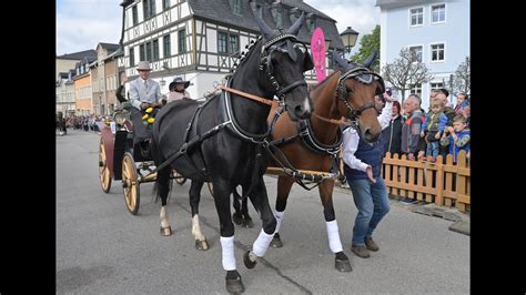 Erzgebirgischer Pferdetag Zw Nitzer Erntedankfest