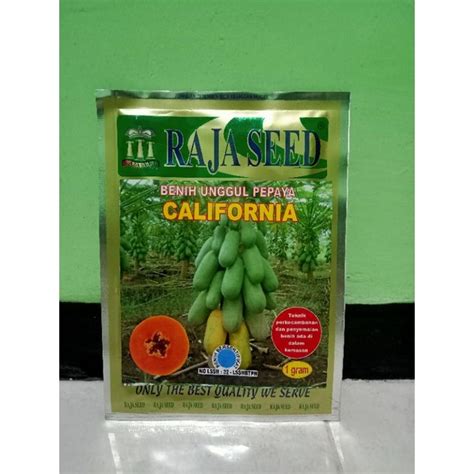 Jual Benih Pepaya California Benih Kates Raja Seed Kemasan 1 Gram Exp