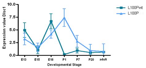 3 Developmental Profile Of Disc1 In The L100p Mutant Mouse Graph