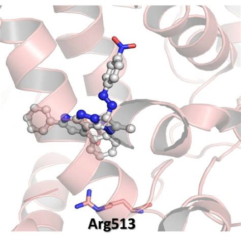 Hypothetical Binding Modes Of Compound 5c A And 5e B In COX 2