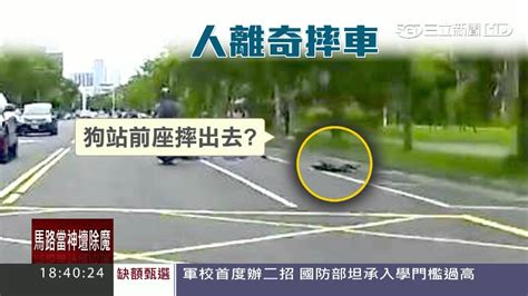 遛狗不牽繩害摔？ 騎士閃不過翻車噴飛｜三立新聞台 Youtube