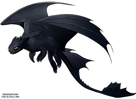 Toothless In Flight How Train Your Dragon Dragon Drawing How To