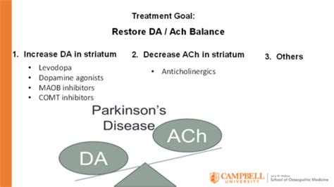 Neuro Pharmocology Of Parkinson S Disease Flashcards Quizlet