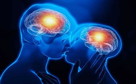 ¿qué Sucede En Tu Cerebro Cuando Te Enamoras