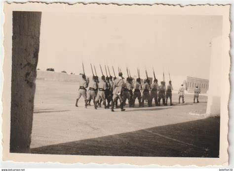 Afrique Lot De Photos Alg Rie Colomb B Char B Char Militaires