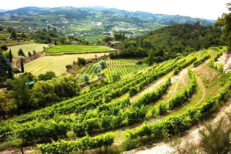 Private Douro Valley Wine Tour From Porto