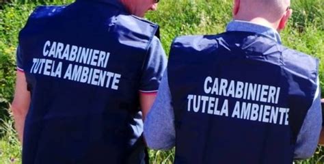 Maxi Sequestro Di Rifiuti Plastici Stoccati Abusivamente L Operazione