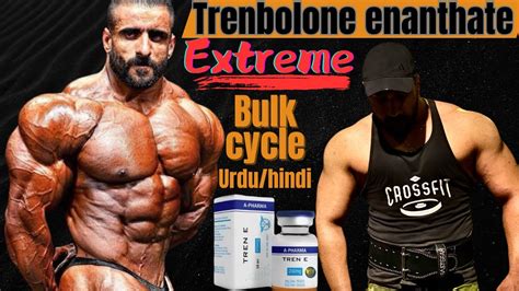 Trenbolone Enanthate Bulking Cycle Urduhindi Tren E And Test E Cycle