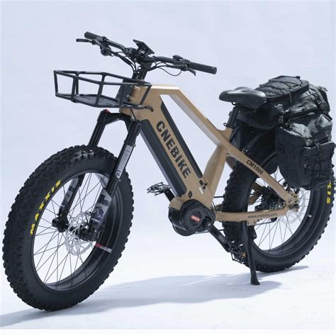 Long Range Fat Tire Hidden Dual Batteries Electric Mountain Bike