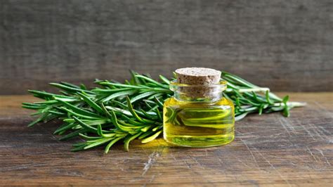 Olio Essenziale Di Rosmarino Propriet E Come Usarlo Tuobenessere It